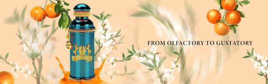 From Olfactory To Gustatory