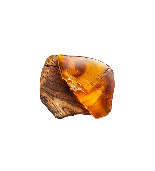 Amber Wood