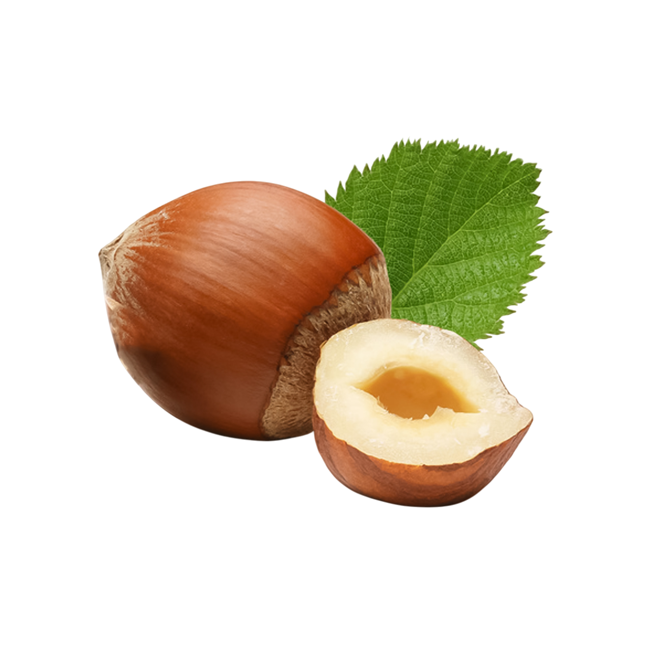 Hazelnut
