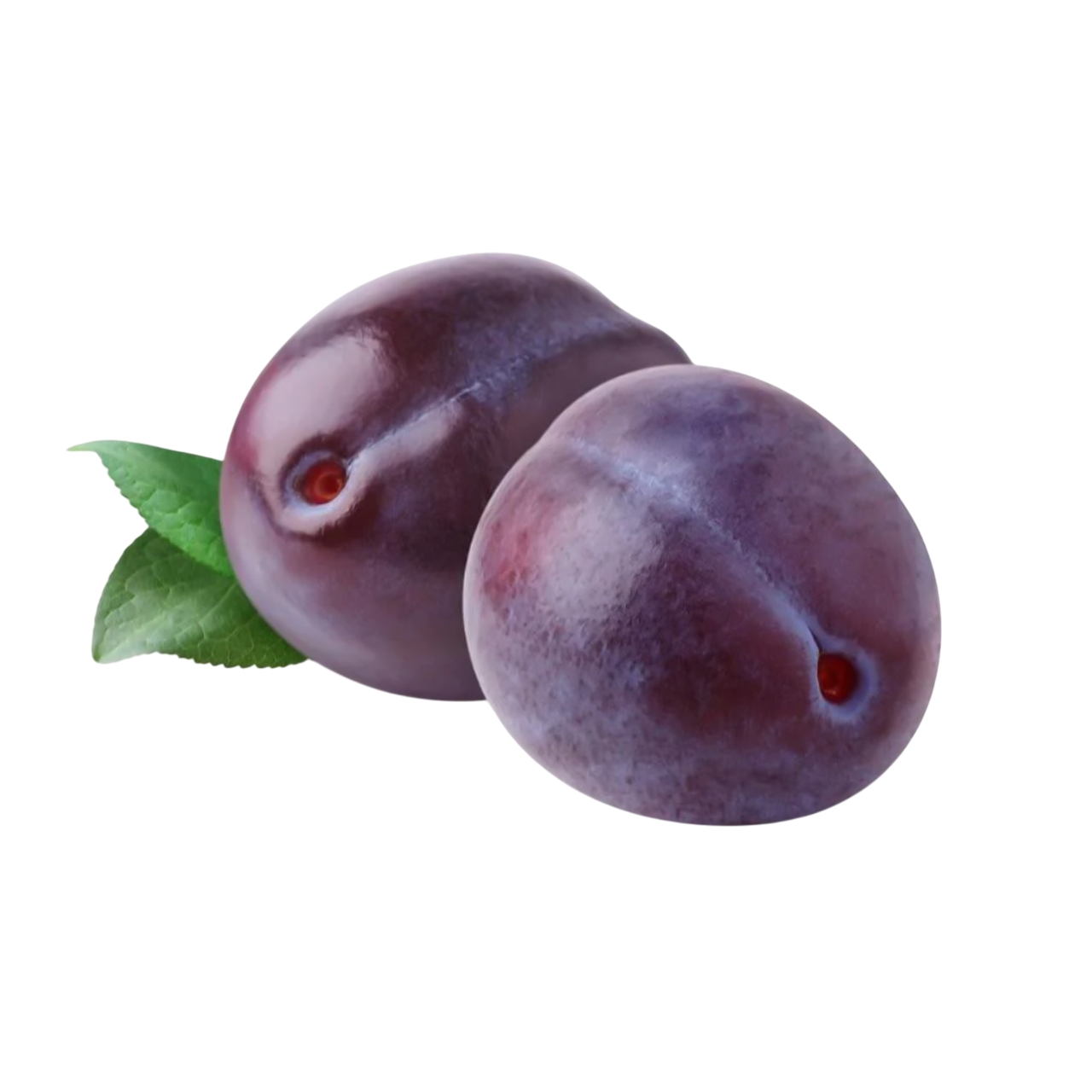 Plum