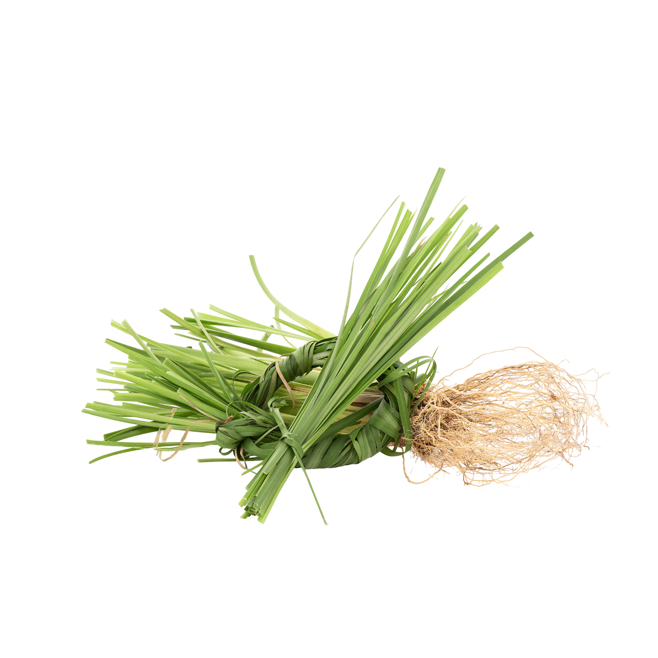 Vetiver